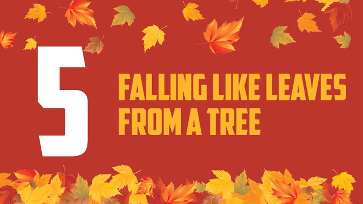 Clumps: Fall Edition image number null
